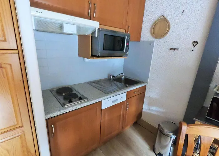 Confortable Au Centre Des Deux Alpes Proche Des Pistes - Fr-1-516-151 * Les Deux Alpes